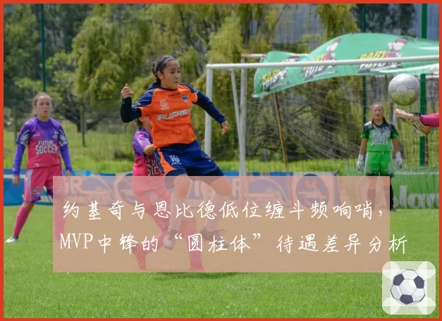 约基奇与恩比德低位缠斗频响哨，MVP中锋的“圆柱体”待遇差异分析
