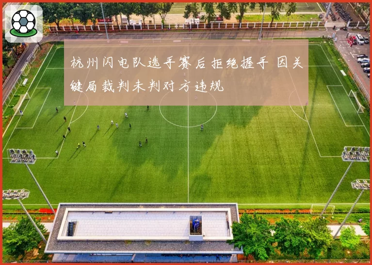 杭州闪电队选手赛后拒绝握手 因关键局裁判未判对方违规