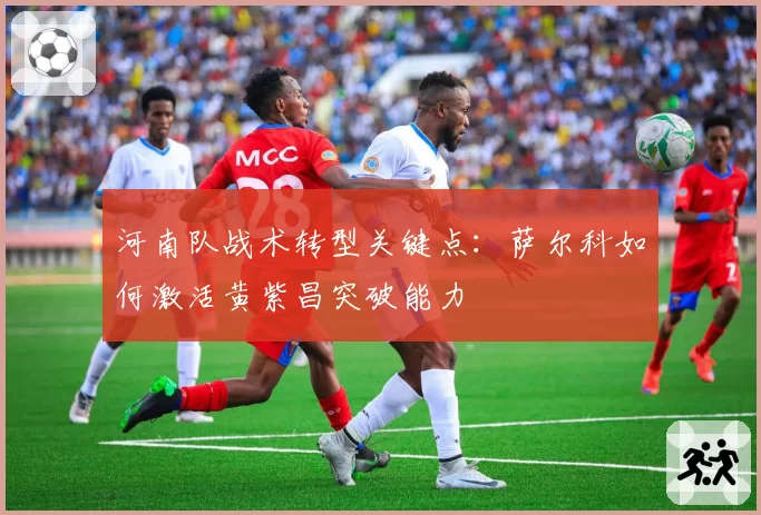 河南队战术转型关键点:萨尔科如何激活黄紫昌突破能力